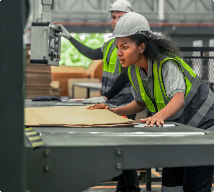 Factory lady working